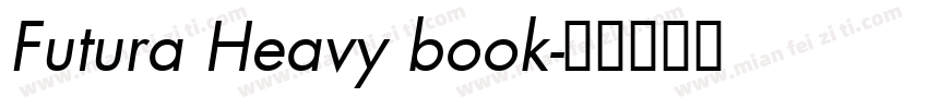 Futura Heavy book字体转换